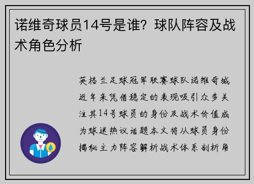 诺维奇球员14号是谁？球队阵容及战术角色分析