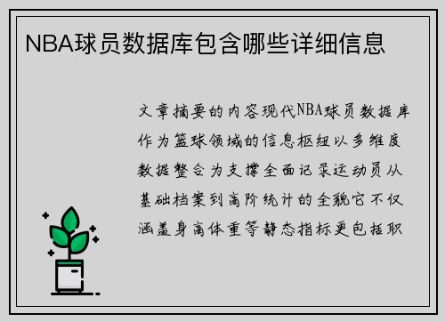 NBA球员数据库包含哪些详细信息